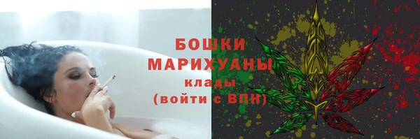 тгк Горнозаводск