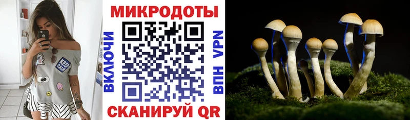 Купить закладки  Сорочинск  Псилоцибиновые грибы прущие грибы 