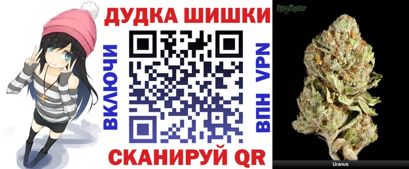Купить закладки  Сорочинск  Бошки марихуана сатива 